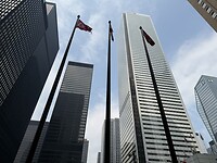 IMG_9953