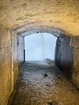IMG_0155