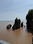 IMG_0980