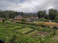 IMG_20180803_113306