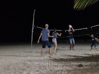 Volleybal