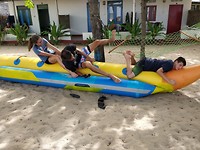 De banaan, nu nog op het droge