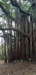 IMG-20190728-WA0018
