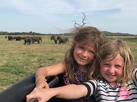 IMG-20190728-WA0003