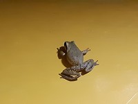 20190726_205628
