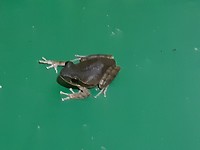 20190726_225903