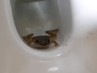 20190727_213950