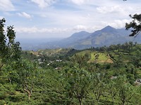 20190802_141403