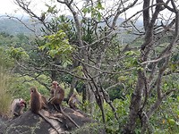 20190808_161801
