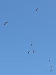 20190805_161845