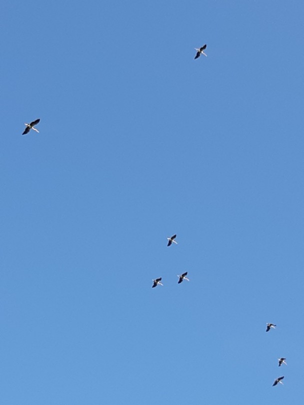 20190805_161845
