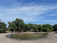 20190805_150629