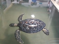 20190809_155319