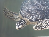 20190809_153705