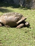 IMG_5061