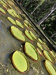 IMG_5064