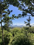 IMG_5211