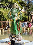 IMG_5220