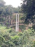 IMG_5239