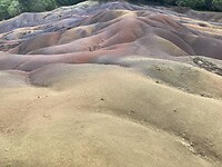 IMG_5257