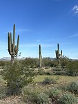 IMG_2795