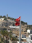 IMG_3921