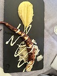 IMG_3998