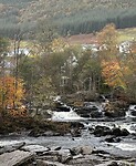 IMG_7485