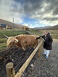 IMG_7539