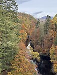 IMG_7726