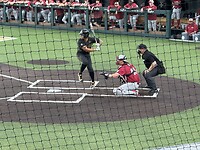 IMG_8584
