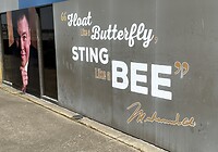 IMG_8703
