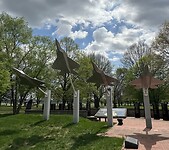 IMG_8906