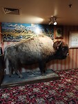 IMG_20230302_190841