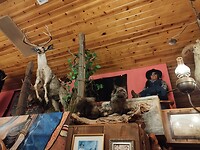 IMG_20230302_190736
