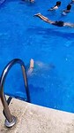 VID-20250705-WA0002
