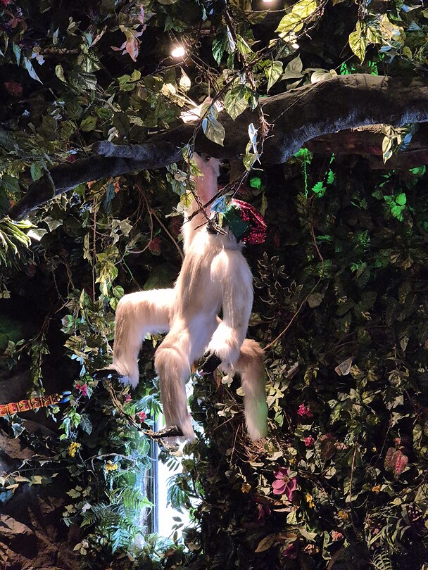 20251225_123721