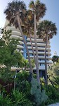 008 start van onze wandeling , de Miami Beach Board Walk