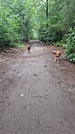 IMG-20230805-WA0018
