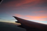 IMG_6687