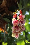 IMG_7147
