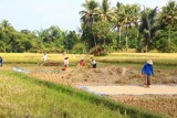 IMG_0175