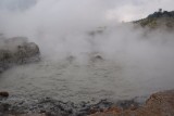 IMG_0184