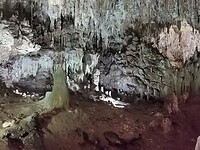 IMG_20210815_134752