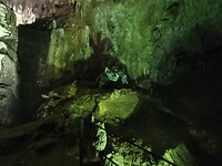 IMG_20210815_135216
