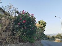 IMG_20210815_183207