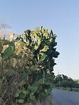 IMG_20210815_183230