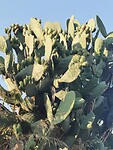 IMG_20210815_183237