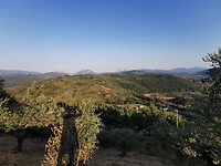 IMG_20210815_183253