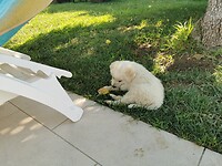 IMG_20210816_164349